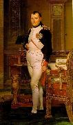 Jacques-Louis David Napoleon in His Study oil painting picture wholesale